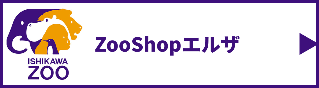 ZooShop エルザ